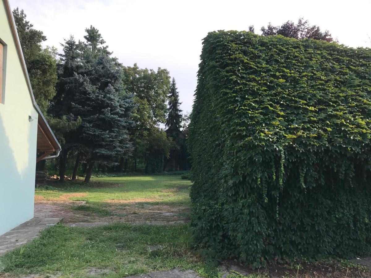 Pb Urban Garden Stay With Secured Parking Sremska Mitrovica Eksteriør billede